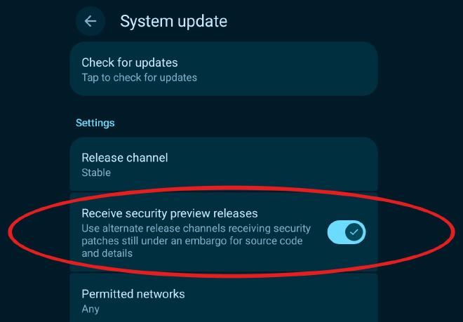 System update settings with Receive security preview releases circled